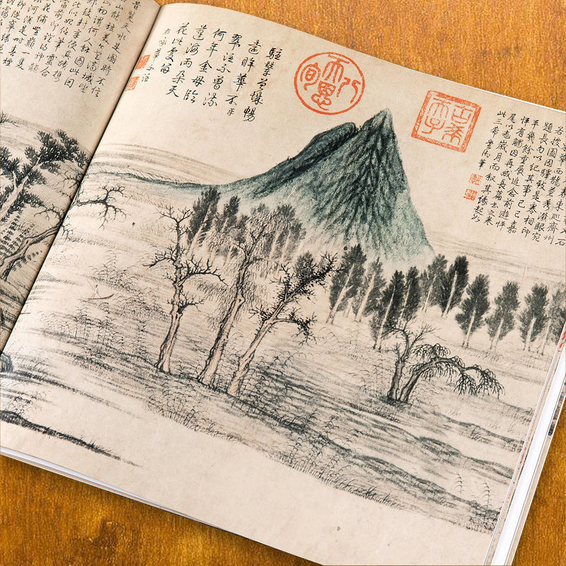 Qi Baishi Schilderboek uit de  - Chinese Calligraphy Practice Book recensie en prijs